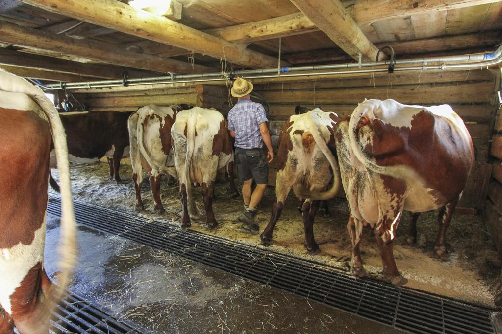 Ferienhof Pfefferbauer Saalbach-Hinterglemm Exteriör bild