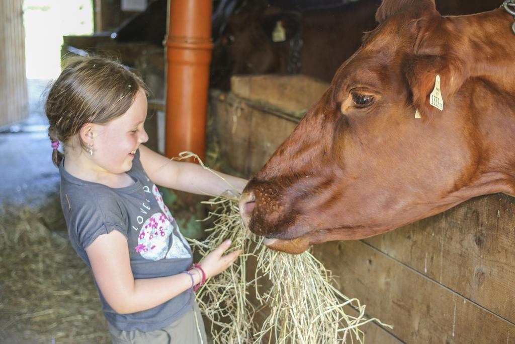 Ferienhof Pfefferbauer Saalbach-Hinterglemm Exteriör bild