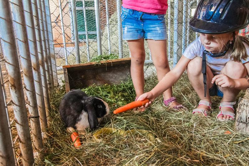 Ferienhof Pfefferbauer Saalbach-Hinterglemm Exteriör bild